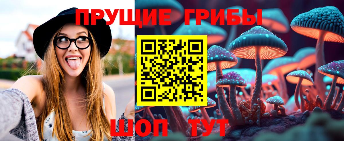 Псилоцибиновые грибы Magic Shrooms  Вход с VPN  сколько стоит  Ноябрьск 